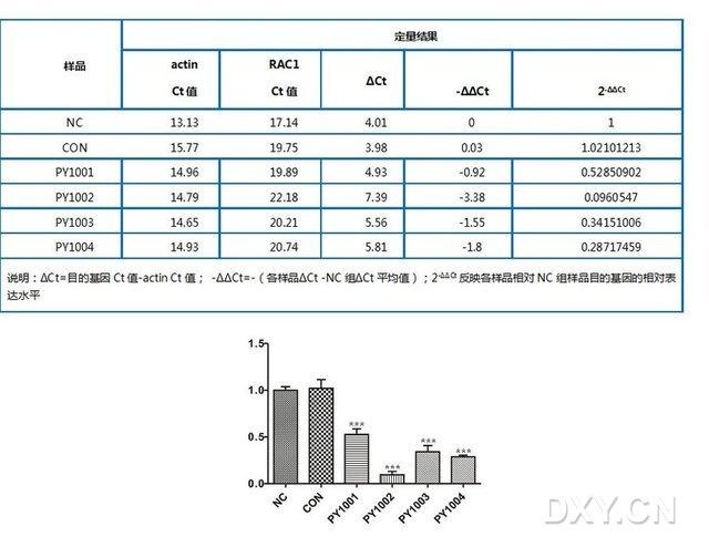 qpcr数据分析-{下拉词