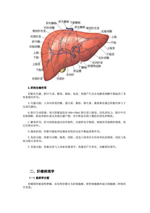 肝癌介入治疗知识宣教文章-{下拉词