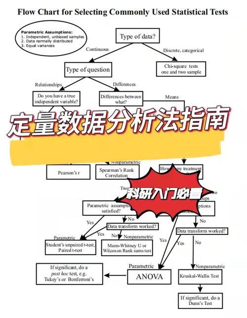 定量数据分析-{下拉词