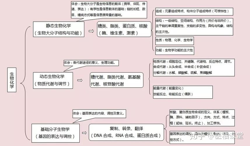 生物化学知识文章结构-{下拉词