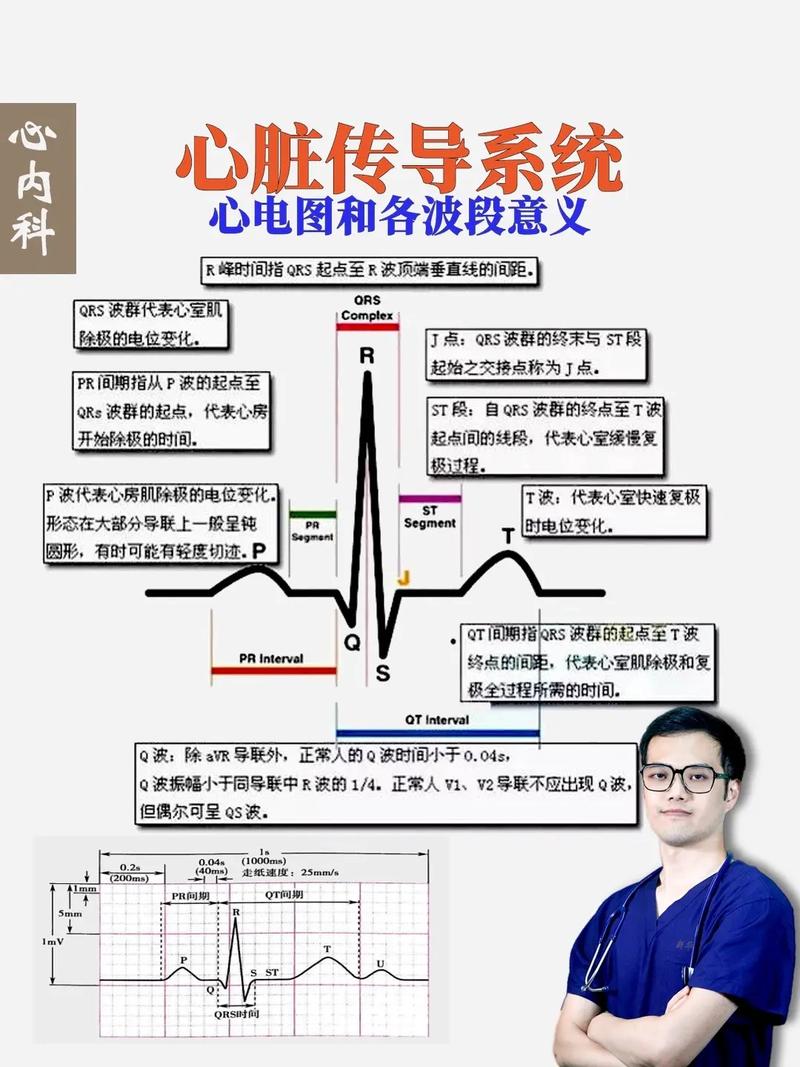 心电图基础知识公众号文章-{下拉词