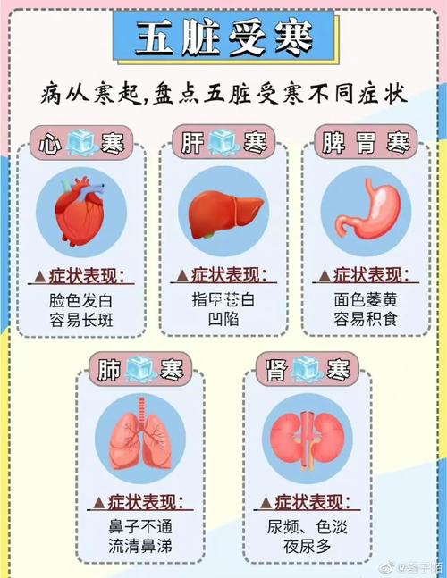 膝关节医学知识科普文章-{下拉词