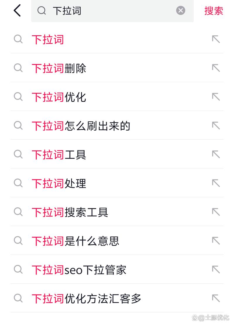 知识  文章-{下拉词