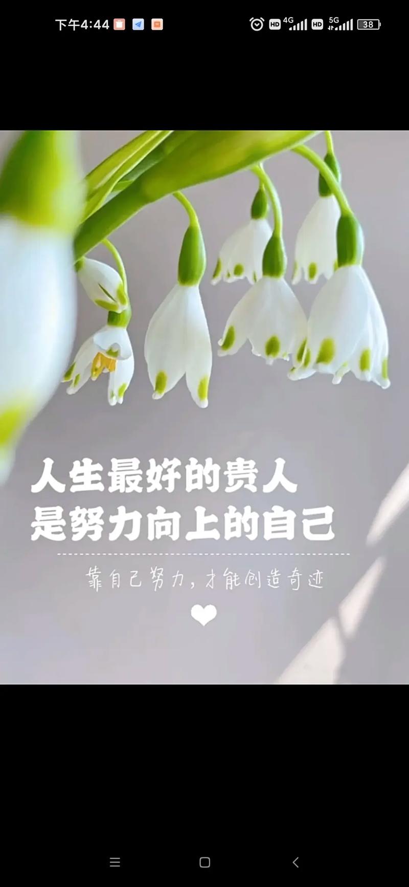 努力加油明星娱乐资讯微博(努力加油的短句子经典语句)